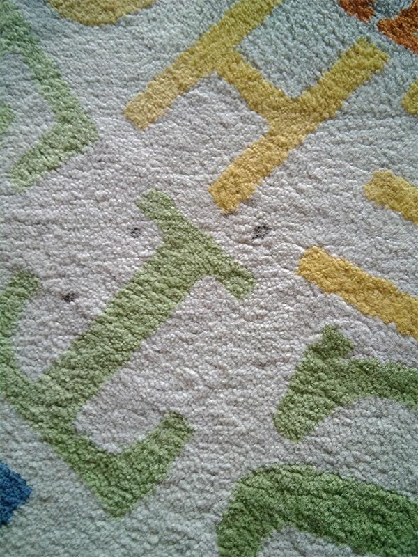 alfombra-2-1-ad-limpiartapiceria-reestrena